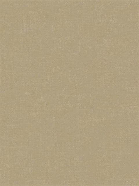 DR6316